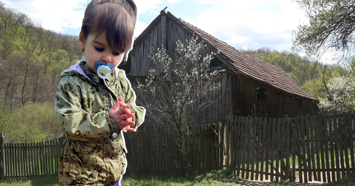 "Do poslednjeg dana je verovao da će se pronaći Danka" Smrtni slučaj zatekao porodicu Ilić