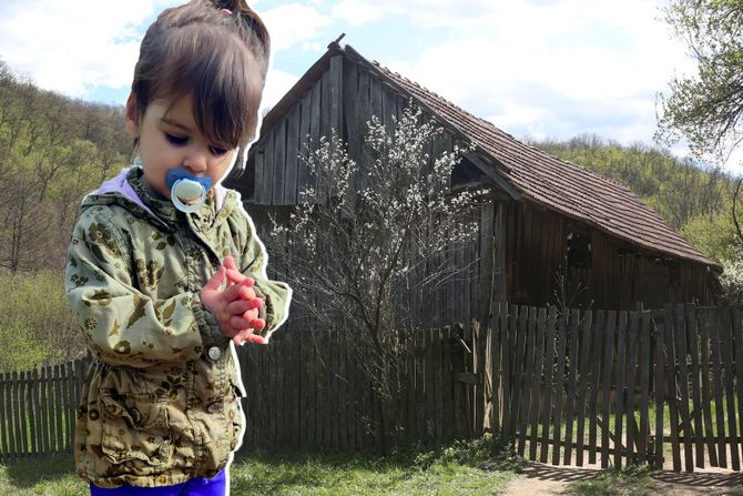 Koliba, Selo Luka, Bor, Danka ilić