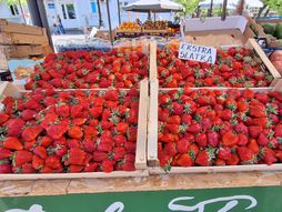 Jagode,pijaca, Zemun