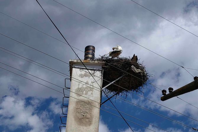 Šilovo, Kosovo, prirodni priraštaj