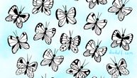 Koji leptir ima jedinstvenu šaru? Ovu mozgalicu je nemoguće rešiti za manje od 17 sekundi