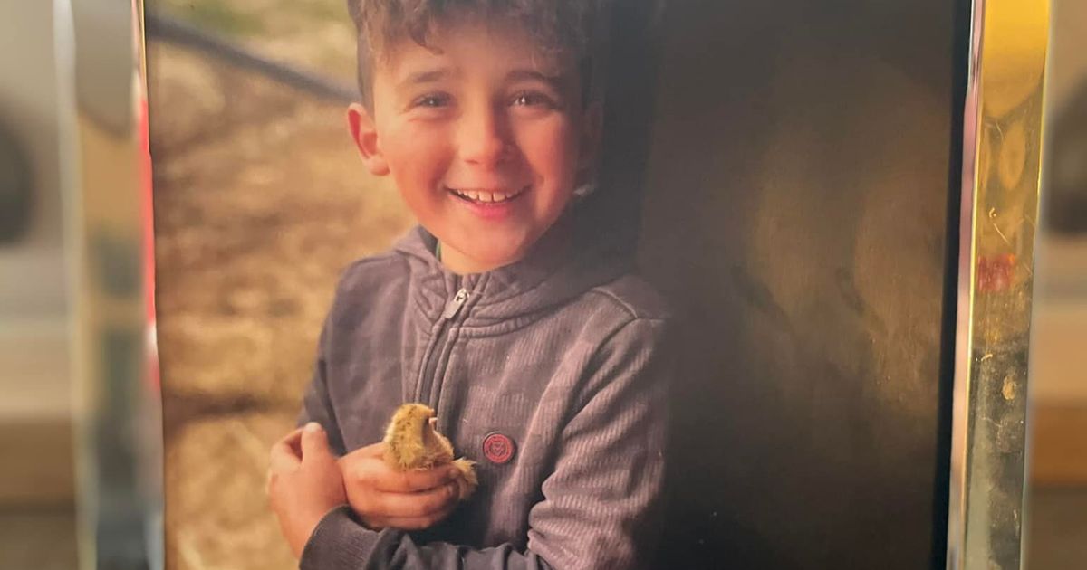 Dečak (9) poginuo na porodičnoj farmi, majka i otac otkrili trenutak nesreće: Brat i sestra gledali užas - Vesti - Telegraf.rs