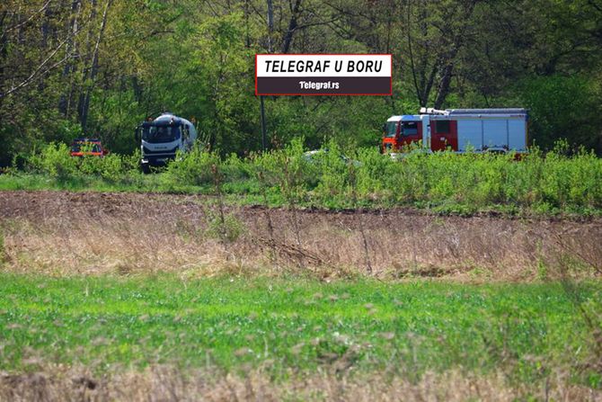 Selo Zlot potraga, Danka Ilić