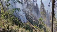 Jak vetar desetkovao šumu u Nacionalnom parku Tara: Stradali planinski četinari na preko 1.000 hektara