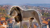 Kakav lav strašan lav u Kaluđerici: Niti manje živuljke, nit' opasnije frizure