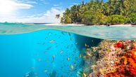 Morski svet u neverovatnoj opasnosti! Klimatske promene pogađaju ribe i beskičmenjake više nego što se mislilo