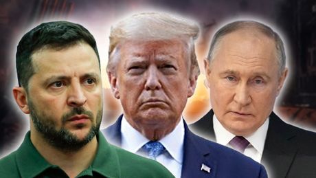 Volodimir Zelenski Donald Tramp Vladimir Putin