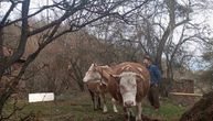 Vredan domaćin nikad neće ostati bez ičeg: Mladom Slobodanu zapalili dve plevnje, on sad počeo da gradi novu