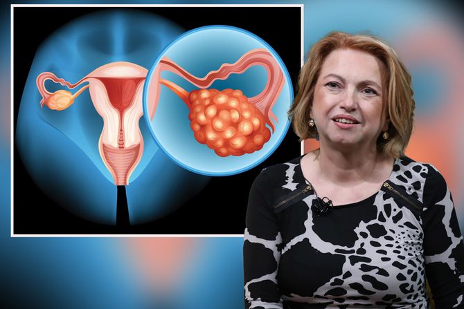 Dr Mima Fazlagić Dr Mima Fazlagić