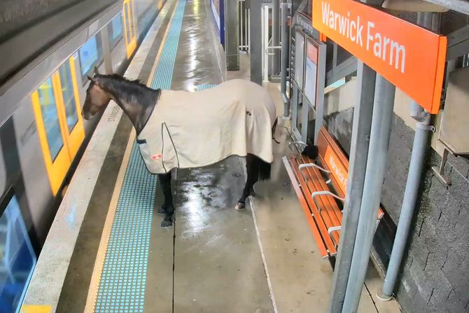 Warwick Farm railway station