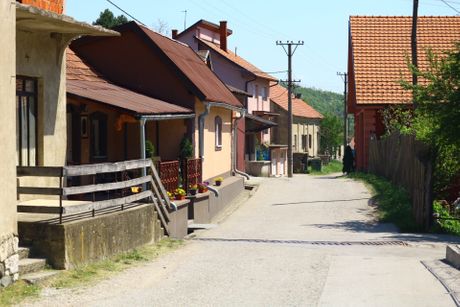 Selo Luka, Potraga Danka Ilić