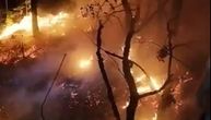 Požar noćas buktao na obroncima Suve planine: Meštani srpečili veću katastrofu