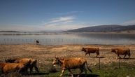 Jezero u Grčkoj bilo je "zlatna koka", a sad je poraslo za 3 puta, ubilo 17 ljudi i desetine hiljada životinja