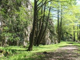 Osanička klisura, Žagubica, Srbija