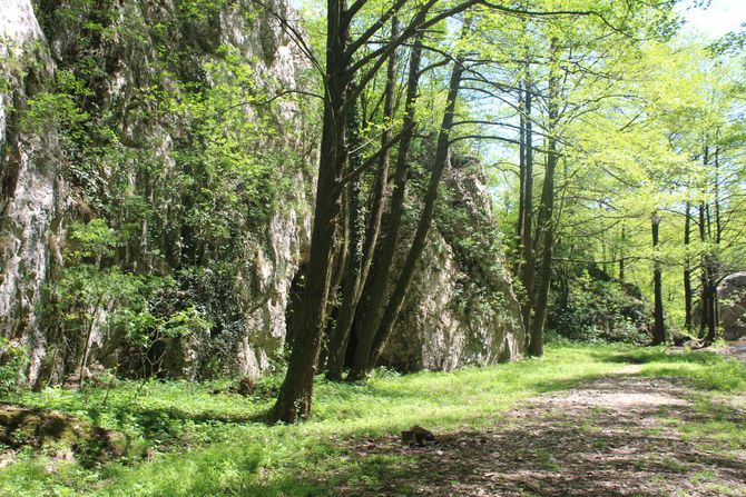 Osanička klisura, Žagubica, Srbija