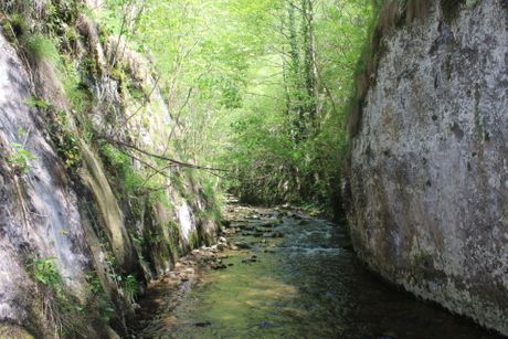 Osanička klisura, Žagubica, Srbija