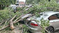 Nevreme pogodilo Vrnjačku Banju: Rušilo i drveće, grane padale po vozilima