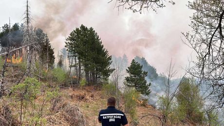 Požar u ovom delu Srbije bukti već 12 dana: Proglašena vanredna ...