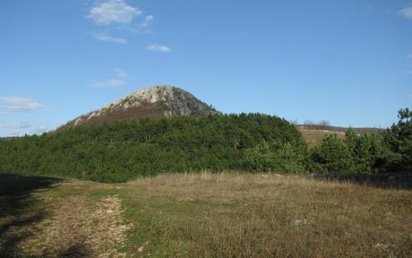Planina Devica