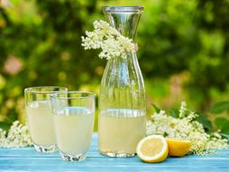 sok od zove, sok, sirup, sirup od zove