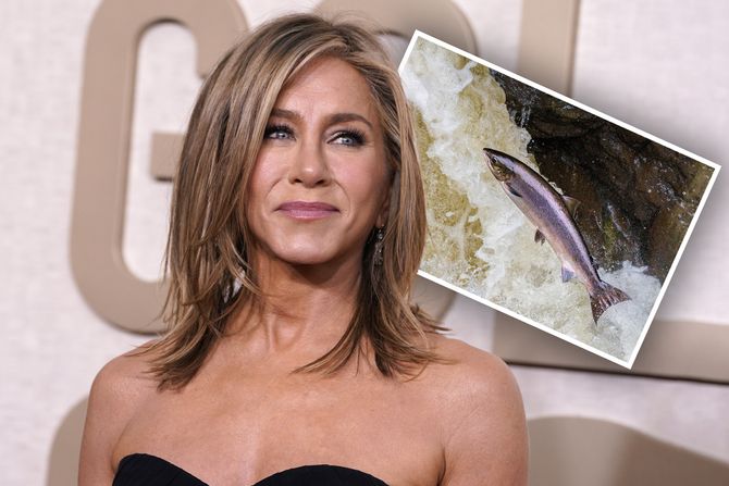 Dženifer Aniston losos Dženifer Aniston losos