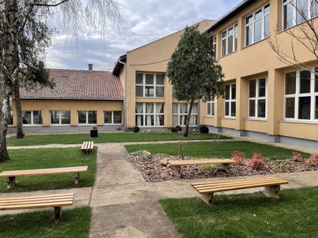 Beogradska škola sada ima zelenije dvorište uz podršku kompanije P&amp;G