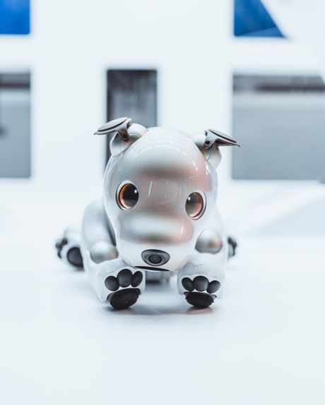 AI Robotic Dog, Psi roboti AI Robotic Dog, Psi roboti