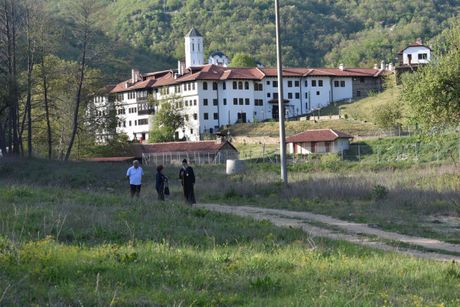 Ljiljana, manastir Prepodobni Prohor Pčinjski