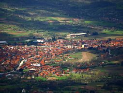 Babušnica