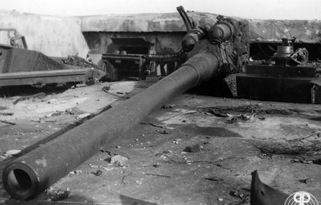 The remains of a gun placed in a fort of the Sevastopol defensive line