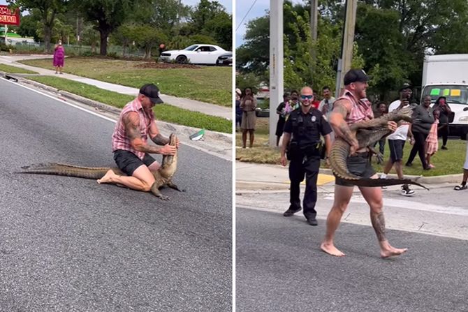 Rukama uhvatio aligatora Rukama uhvatio aligatora