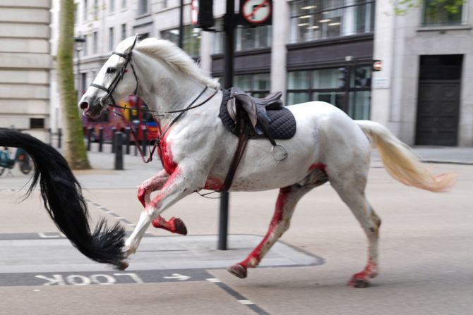 Odbeli konji trčali centrom Londona