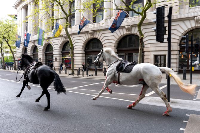 Odbeli konji trčali centrom Londona