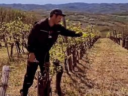 Aleksandar Srećković Kubura