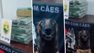 Policijski pas pronašao ogromnu količinu droge: Snimak na kojem pozira ispred svog plena nasmejaće vas do suza
