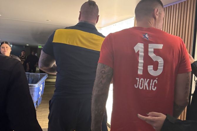 Strahinja Jokić, Nemanja Jokić