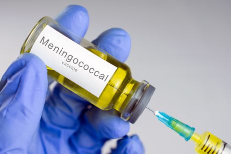 Meningokok Meningokok