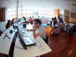 Kompanija, zaposleni, programeri