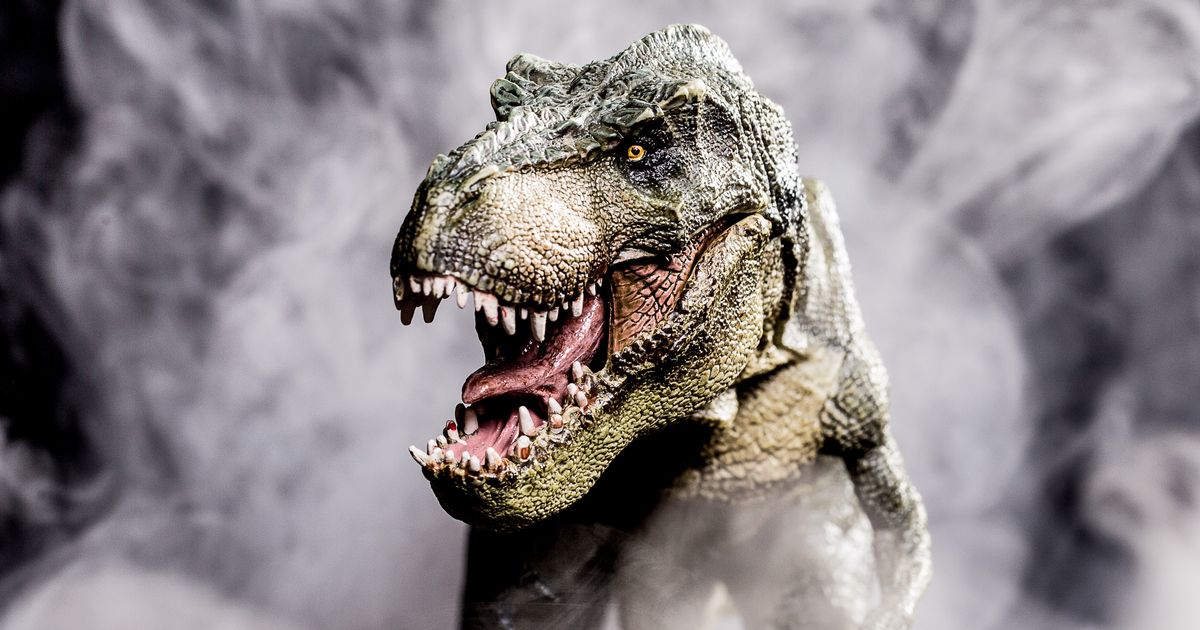 UPRAVO JE LANSIRAN NOVI HIT Predstavljena torba iz laboratorije, 