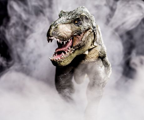 Tyrannosaurus rex Tyrannosaurus rex