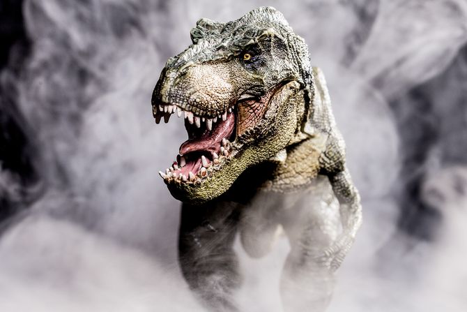 Tyrannosaurus rex Tyrannosaurus rex