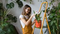 3 saveta kako da omogućite biljci da raste: Potrebno je samo nekoliko minuta da joj obezbedite pravilnu negu