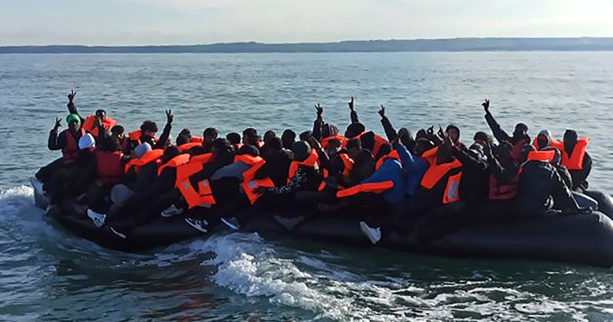 "Plati otkup ili ćeš ostati bez bubrega": Migranti u Velikoj
