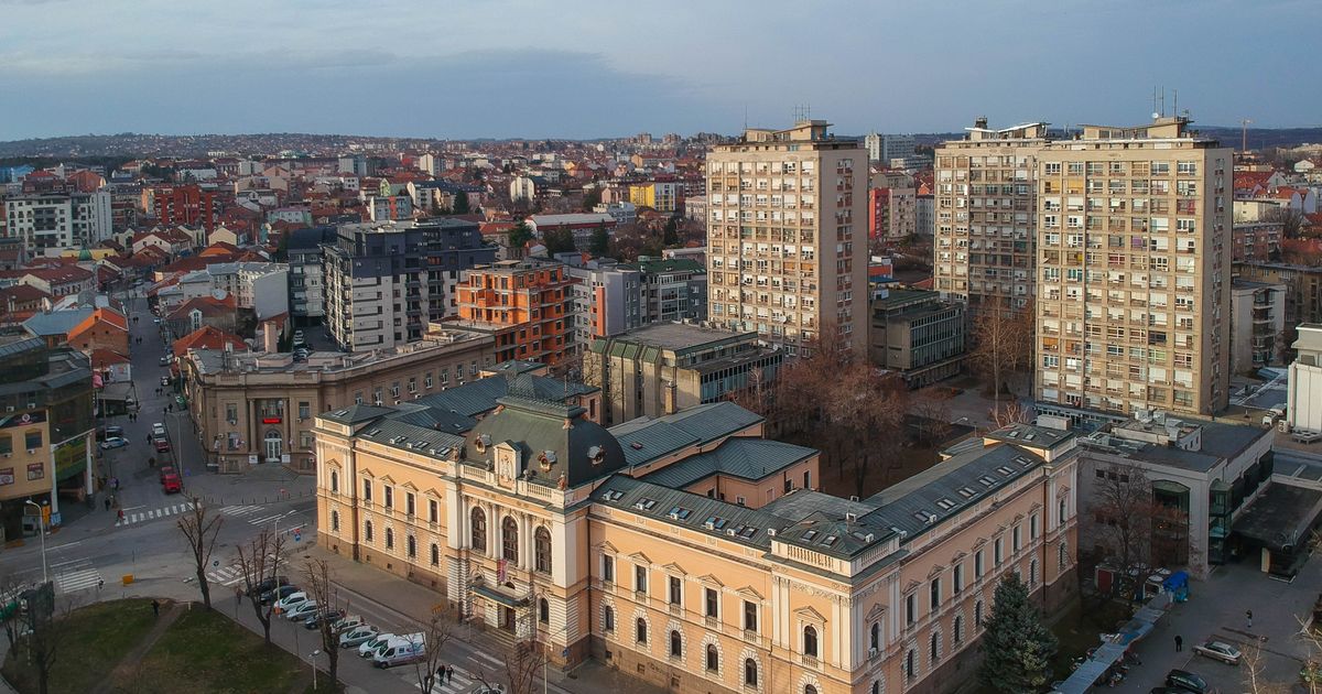 Nestvaran prizor iz Kragujevca kruži mrežama! Slobodno prošetali ulicama, niko ih ne zanima: Ljudi trljaju oči