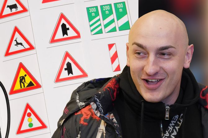 Dragomir Despić Desingerica Dragomir Despić Desingerica