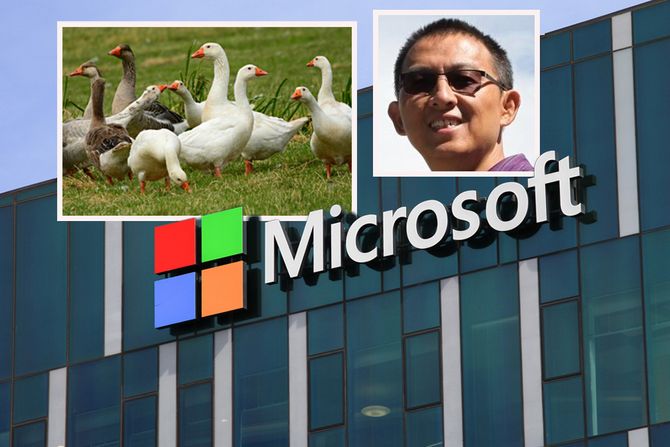 Majkrosoft guske i Feng Yuan Majkrosoft guske i Feng Yuan