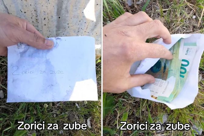 Zorici za zube