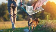 Šeta pse 15 minuta za 200, pola sata za 500RSD: Ljudi ga napali, a jedan komentar je hit: "2 sata besplatno"