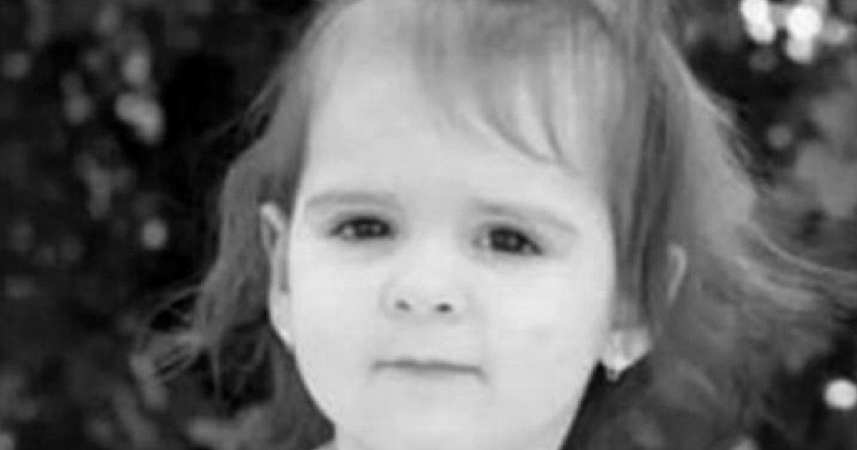 Tri dana pre pogibije Dalibora Dragijevića, u selu Zlot iskopana dva raka: Novi detalji u istrazi smrti Danke Ilić – Novosti