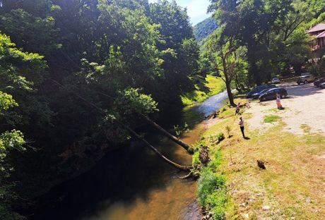 Petrovac na Mlavi, MANASTIR GORNJAK, ĐURĐEVDAN, KRSNA SLAVA Petrovac na Mlavi, MANASTIR GORNJAK, ĐURĐEVDAN, KRSNA SLAVA